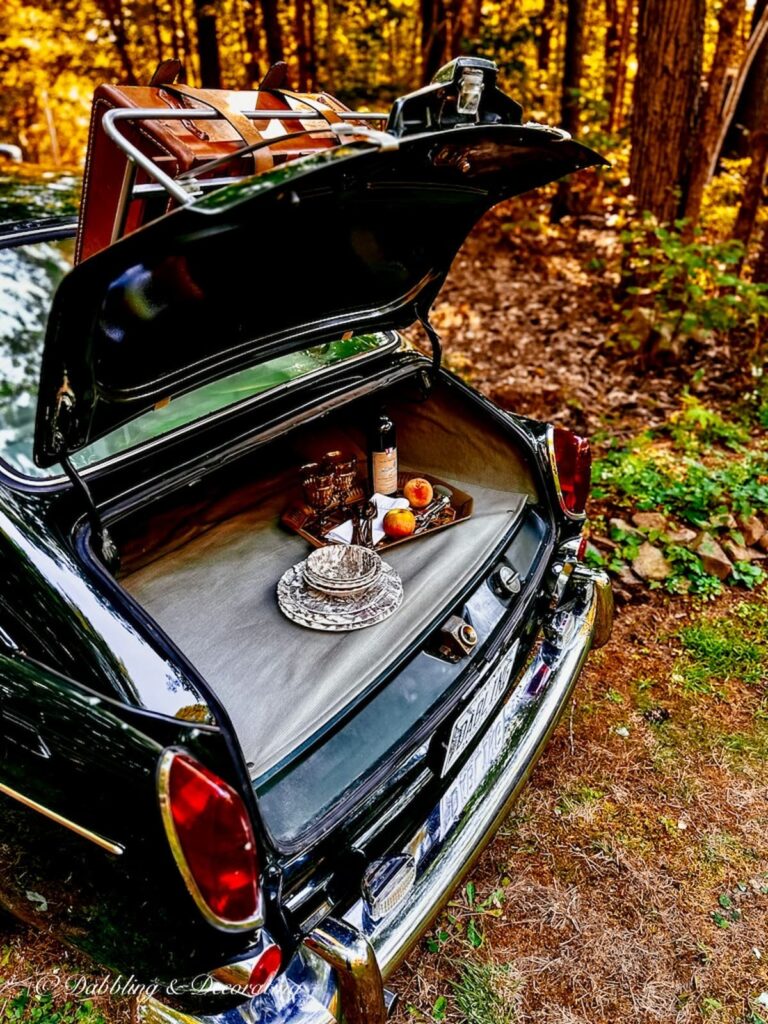 Vintage VW Fastback Trunk open setting up for a car picnic in the woods.