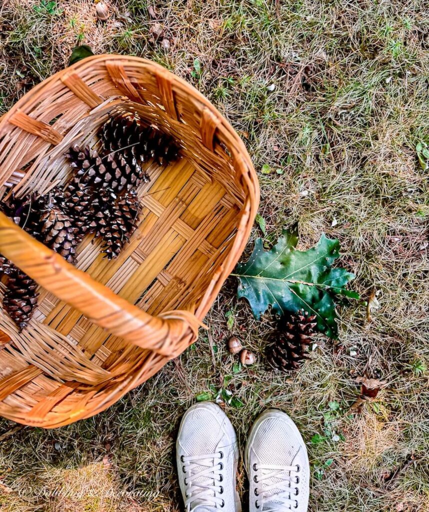 Basket of pinecones on ground next to white sneakers.