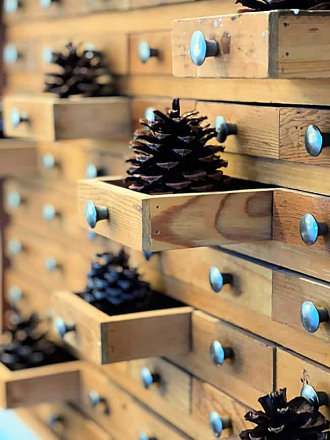 Pinecones in wooden drawers of cabinet.