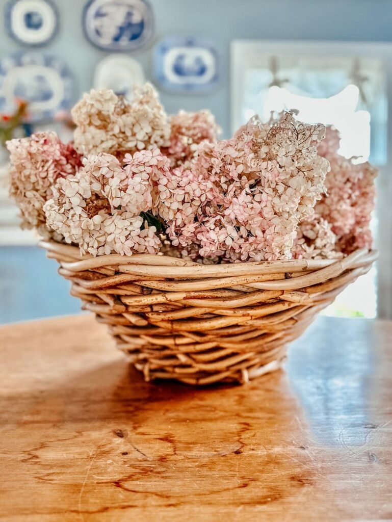 Basket of Fall hydrangeas with pink hues on vintage pine table in dining room.