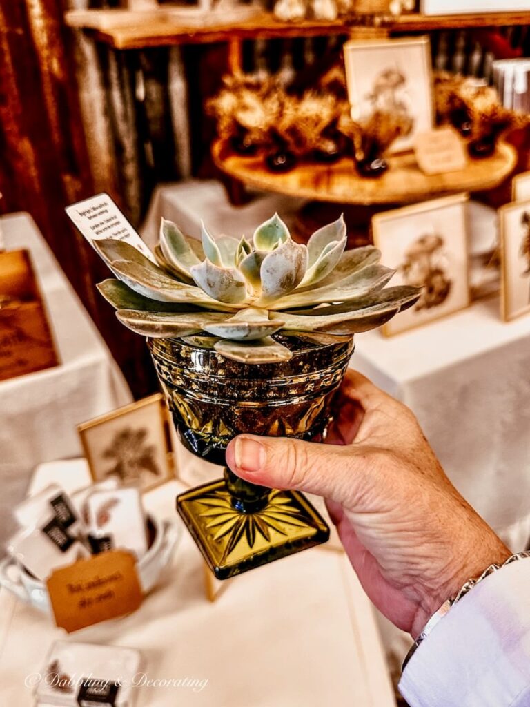 Vintage green glass with succulent in hand at vintage market.