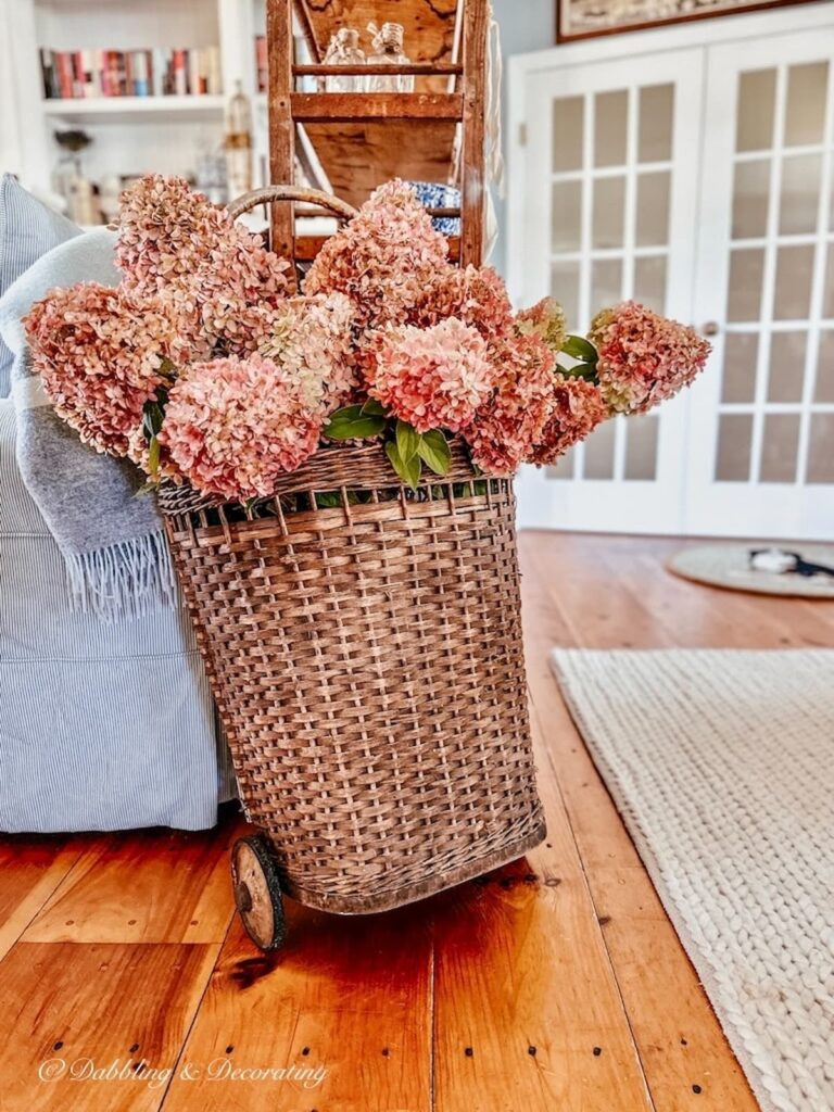 French vintage basket with wheels filled with Fall pink limelight hydrangeas in living room decor.