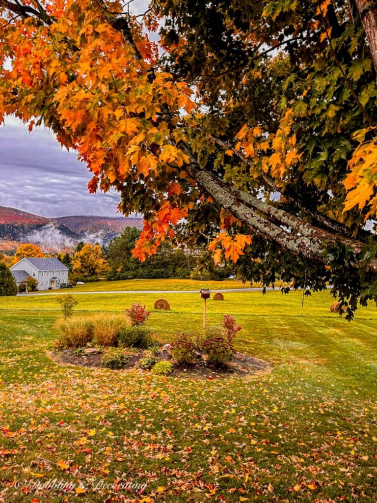 Fall foliage in the Vermont mountains.