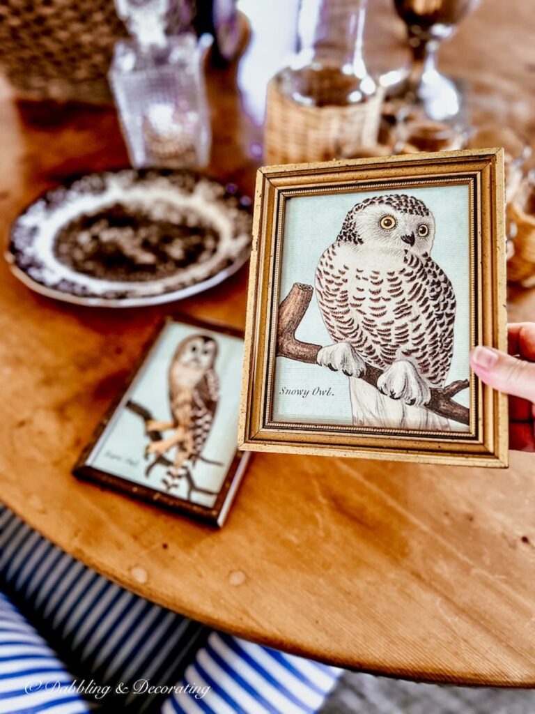 Vintage Snowy owl print in gold frame at Vintage Market in hand.