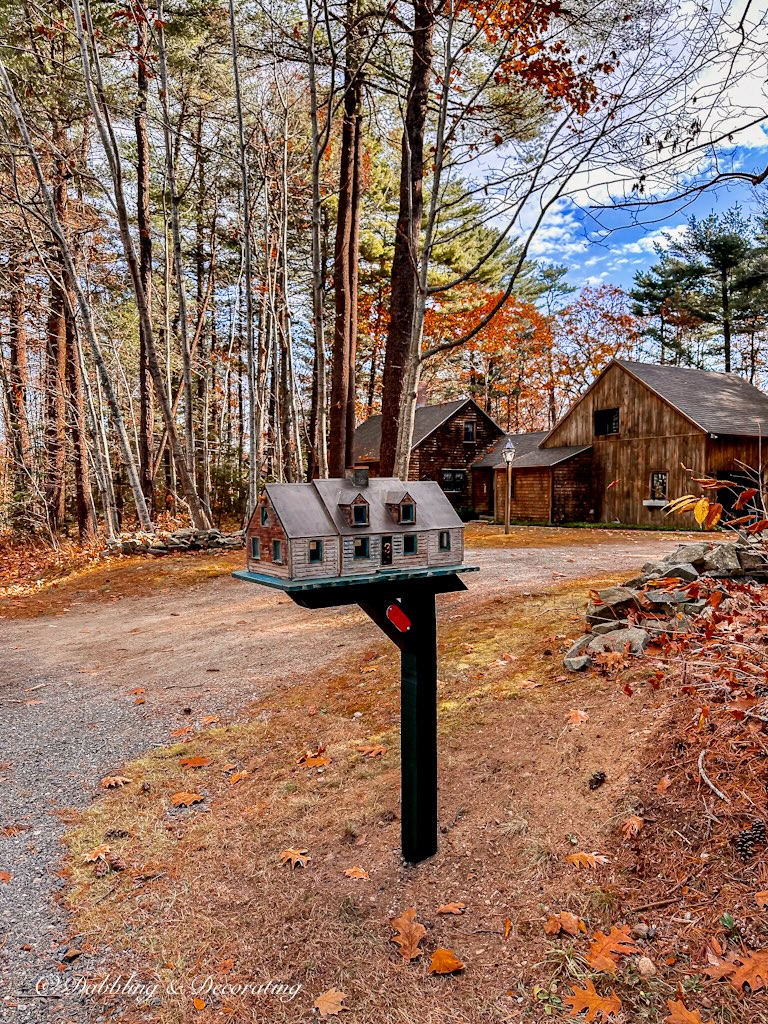 Unique mailbox house on curb in front of rustic cedar shakes home.