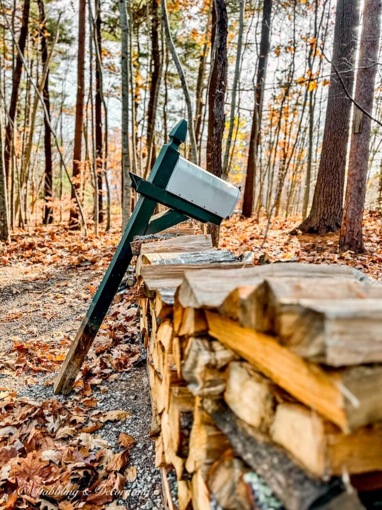 Mailbox and post leaning against a wood pile.