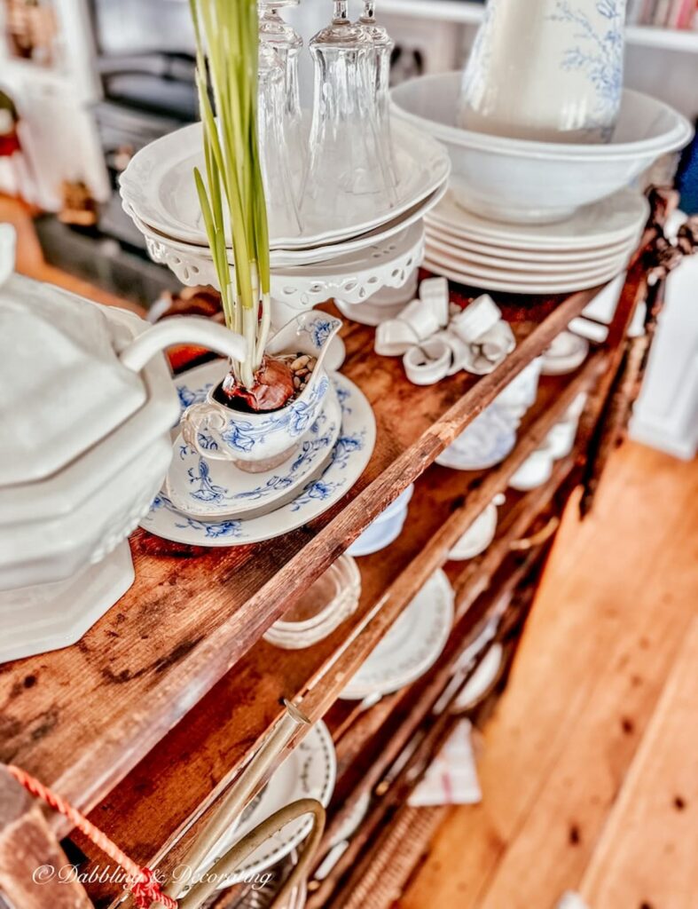 Paperwhite bulb growing in vintage blue and white gravy boat on antique cobbler rack.