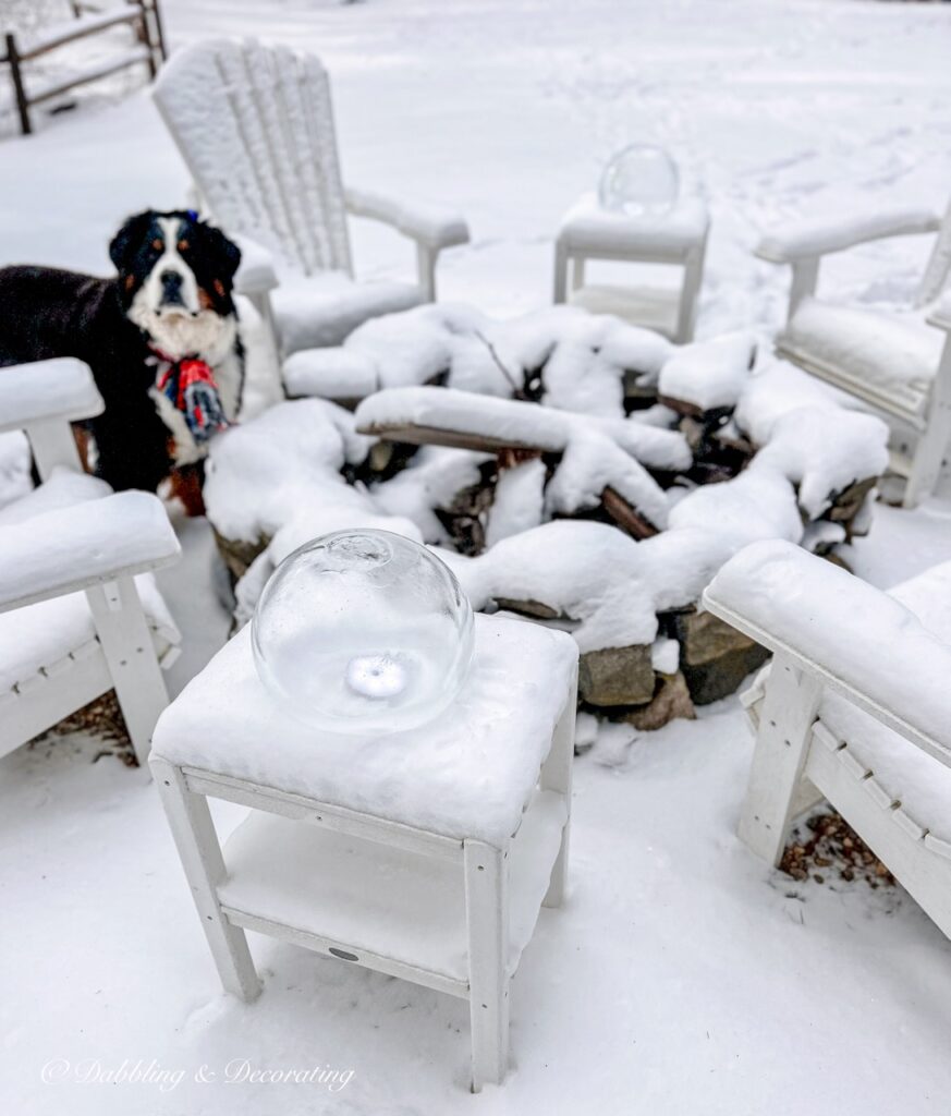 Bernese Mountain Dog peaking out of Stone fireplace with White Adirondack chairs and Ice lanterns in the snow.