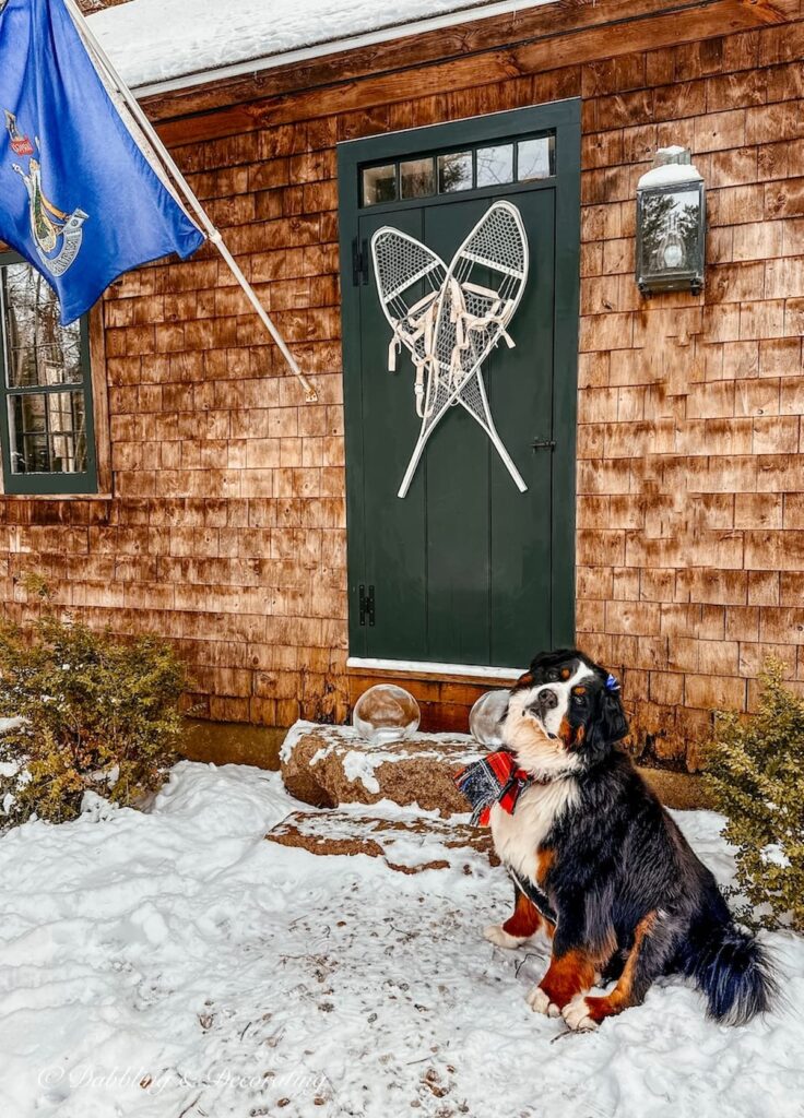 Front door with snowshoes on cedar shakes home with Bernese Mountain Dog and Maine Flag with Ice luminaries on step.