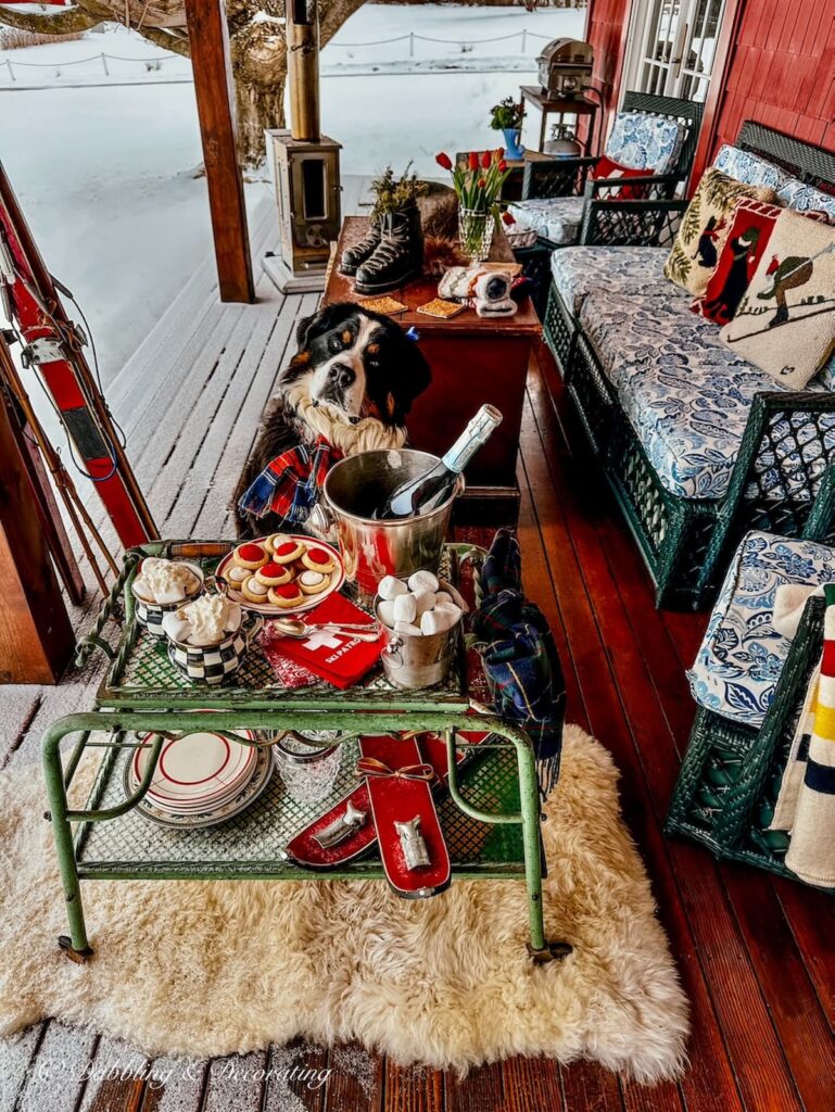 Bernese Mountain Dog looking over an antique bar cart all decorated for an apres' ski theme on wintery snowy porch.