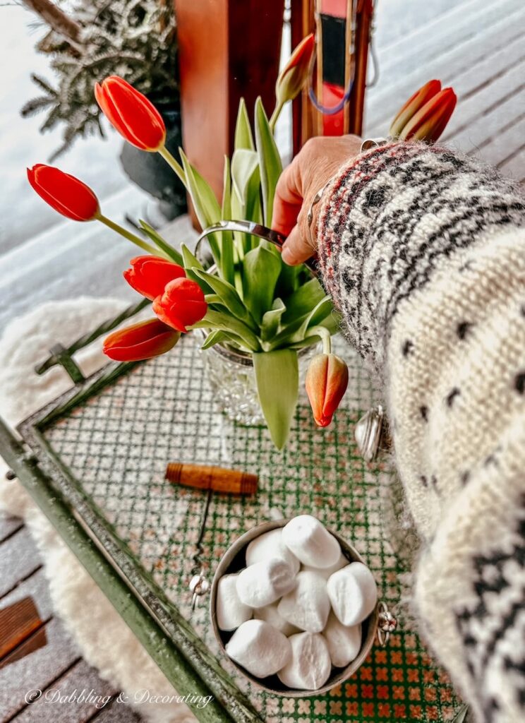 Hand with wool sweater on placing red tulips on antique bar cart on snowy winter porch.