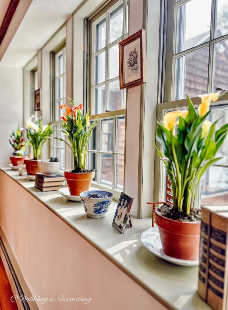 Different colored Calla Lilies in terracotta pots lining large windowsill in vintage home decor.